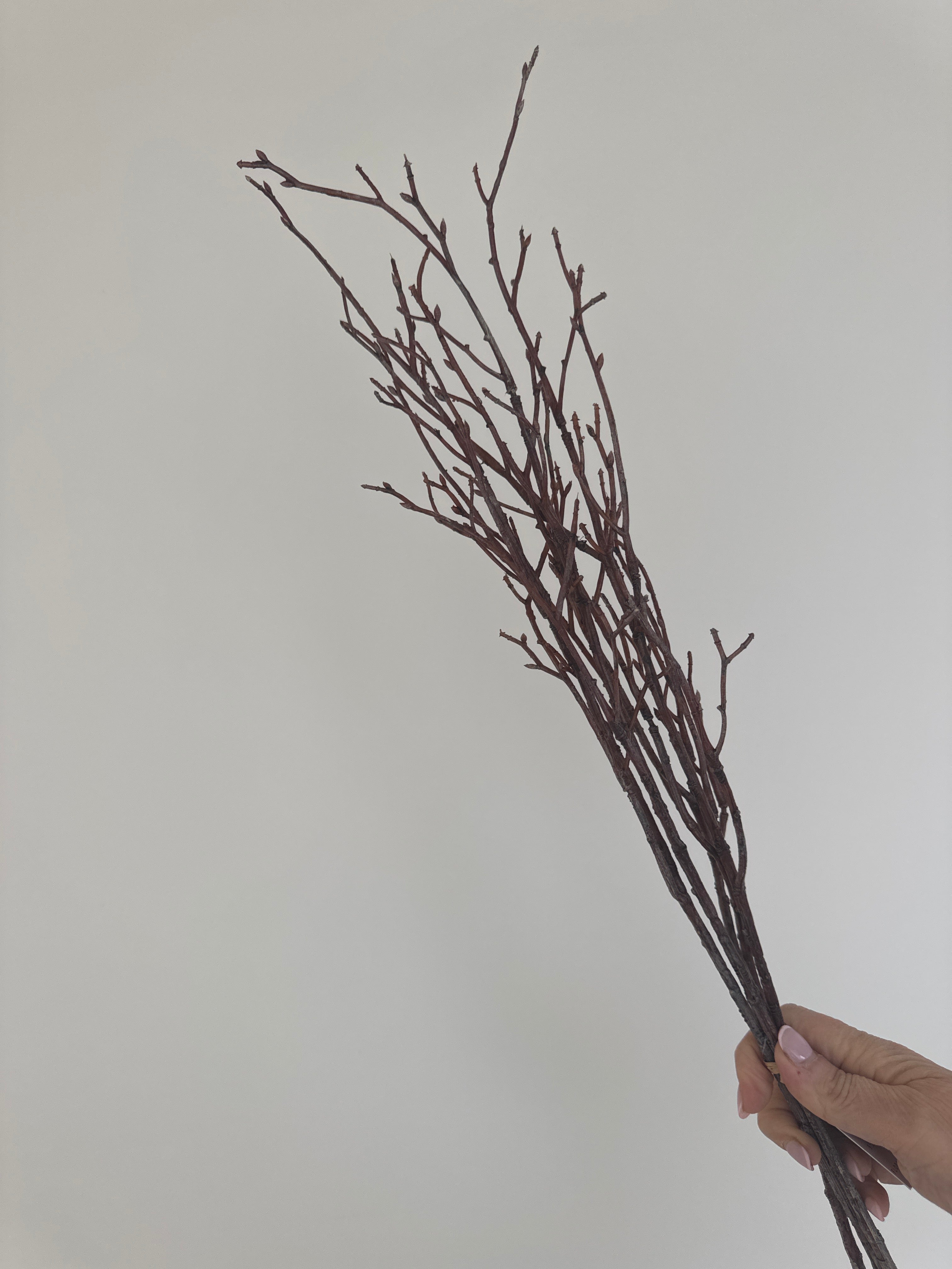 Twig Bundle