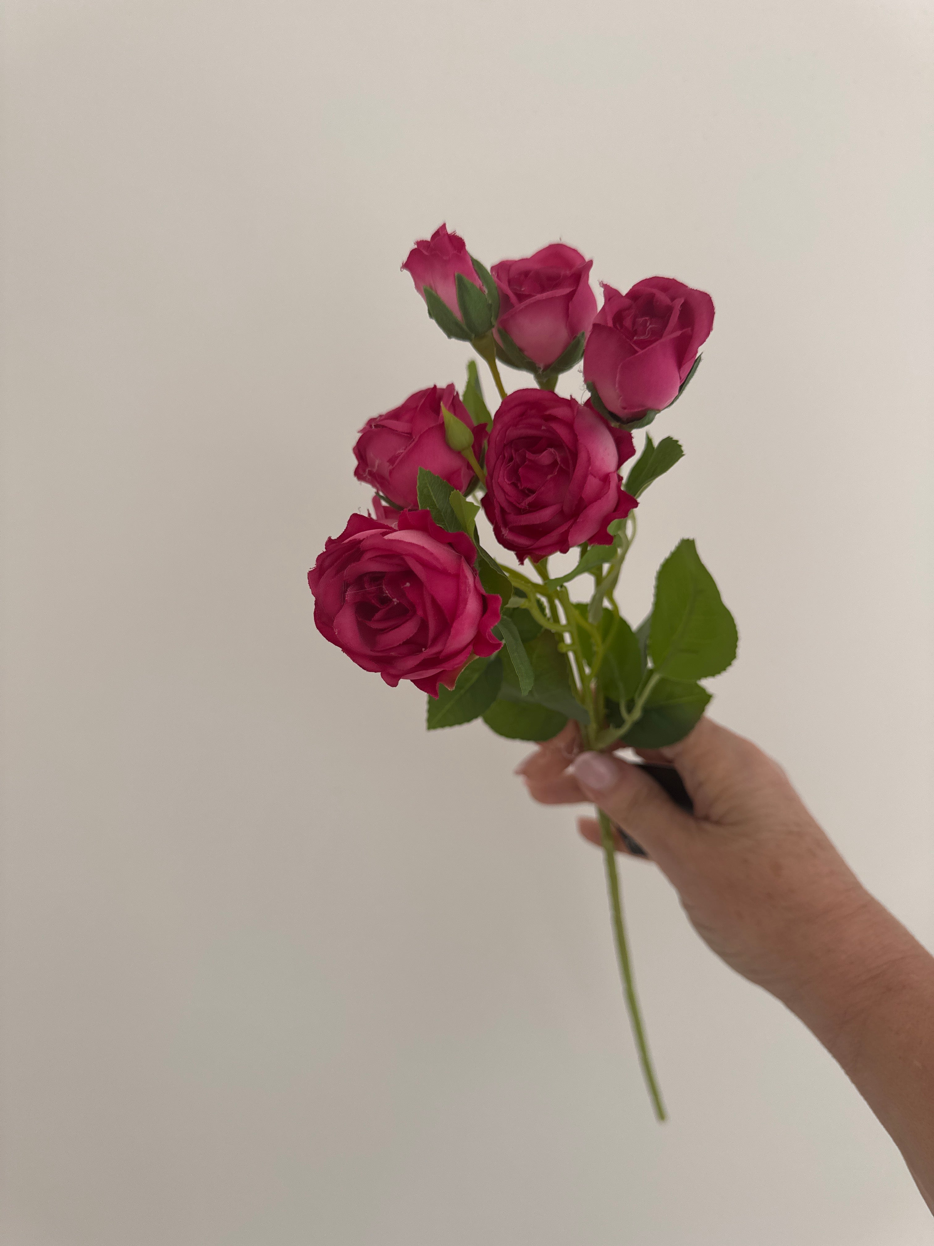 Rose Bud Spray 46cml