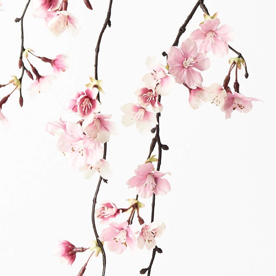 Cherry blossom hanging