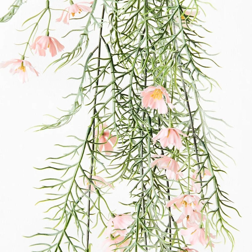 Cosmos Hanging bush Light Pink 89cml