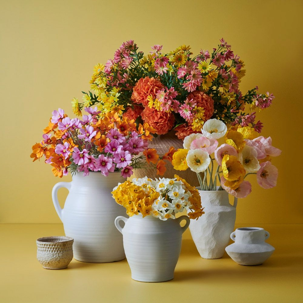 Hydrangea