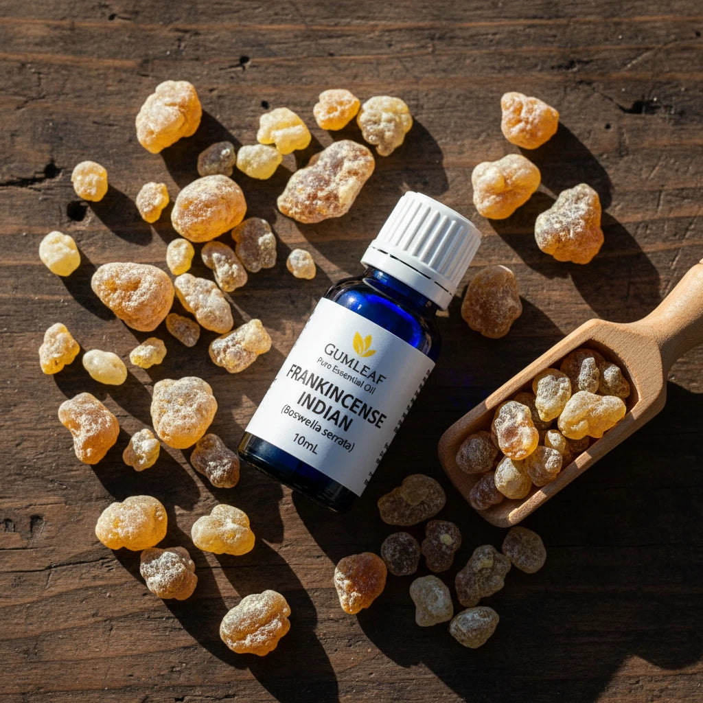 Frankincense Indian Essential oil