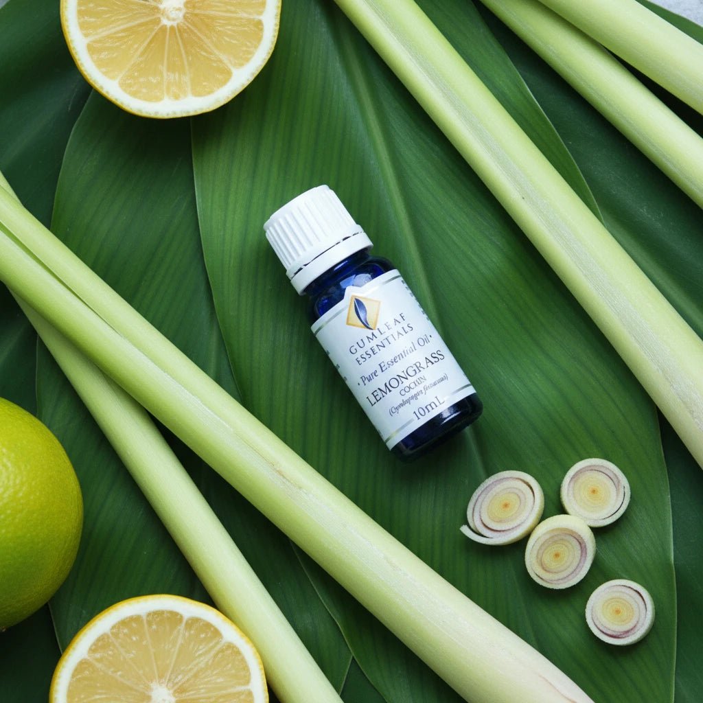 Lemongrass Cochin Essential Oil